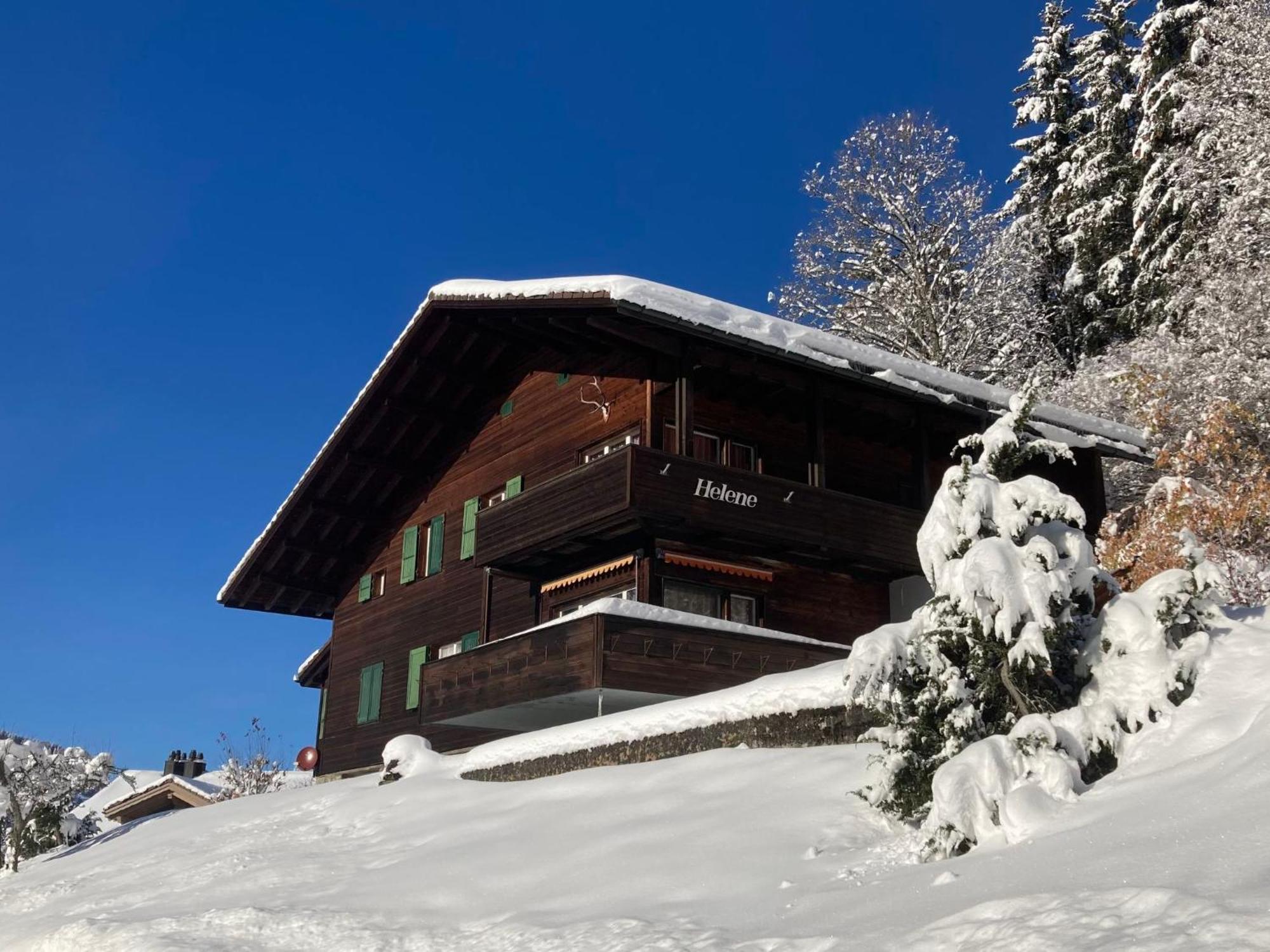 Apartment Helene Apt-Diana By Interhome Wengen Eksteriør bilde